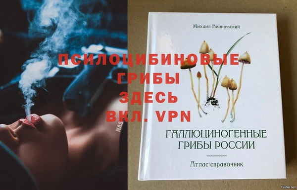 МДПВ Лиски