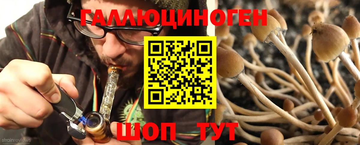 Галлюциногенные грибы Magic Shrooms  Вход с VPN  Псилоцибиновые грибы GOLDEN TEACHER  Строитель 